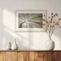 PNP060W040