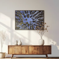 LWN120W080