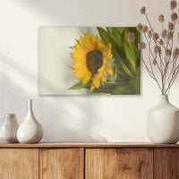 AL-030W020