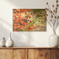 AC-030W020