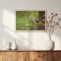 PN-060W040