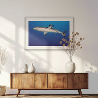 PWP100W070