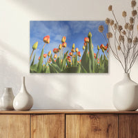 AC-030W020