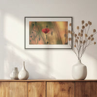 PBP060W040