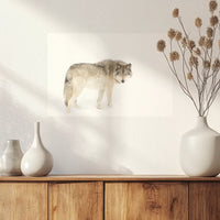 PO-045W030