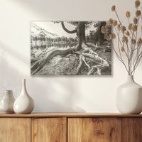 LW-045W030