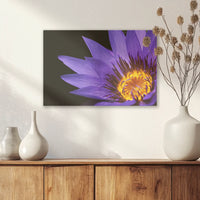 AC-030W020