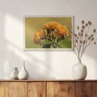 PN-060W040