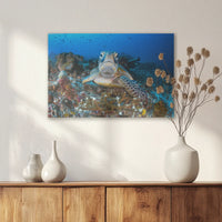 AC-060W040