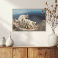 LW-030W020