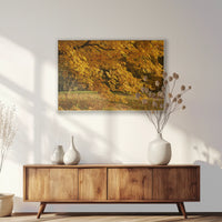 PS-100W070