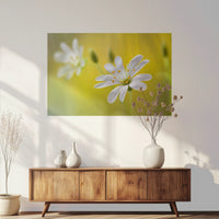 PO-120W080