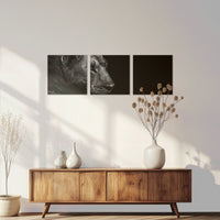 AC-210S070