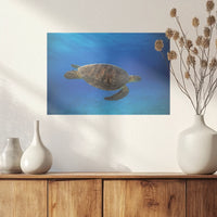 PO-045W030