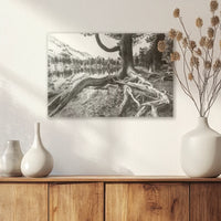 AC-030W020