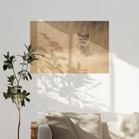 PO-120W080
