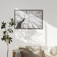 LWN100W070