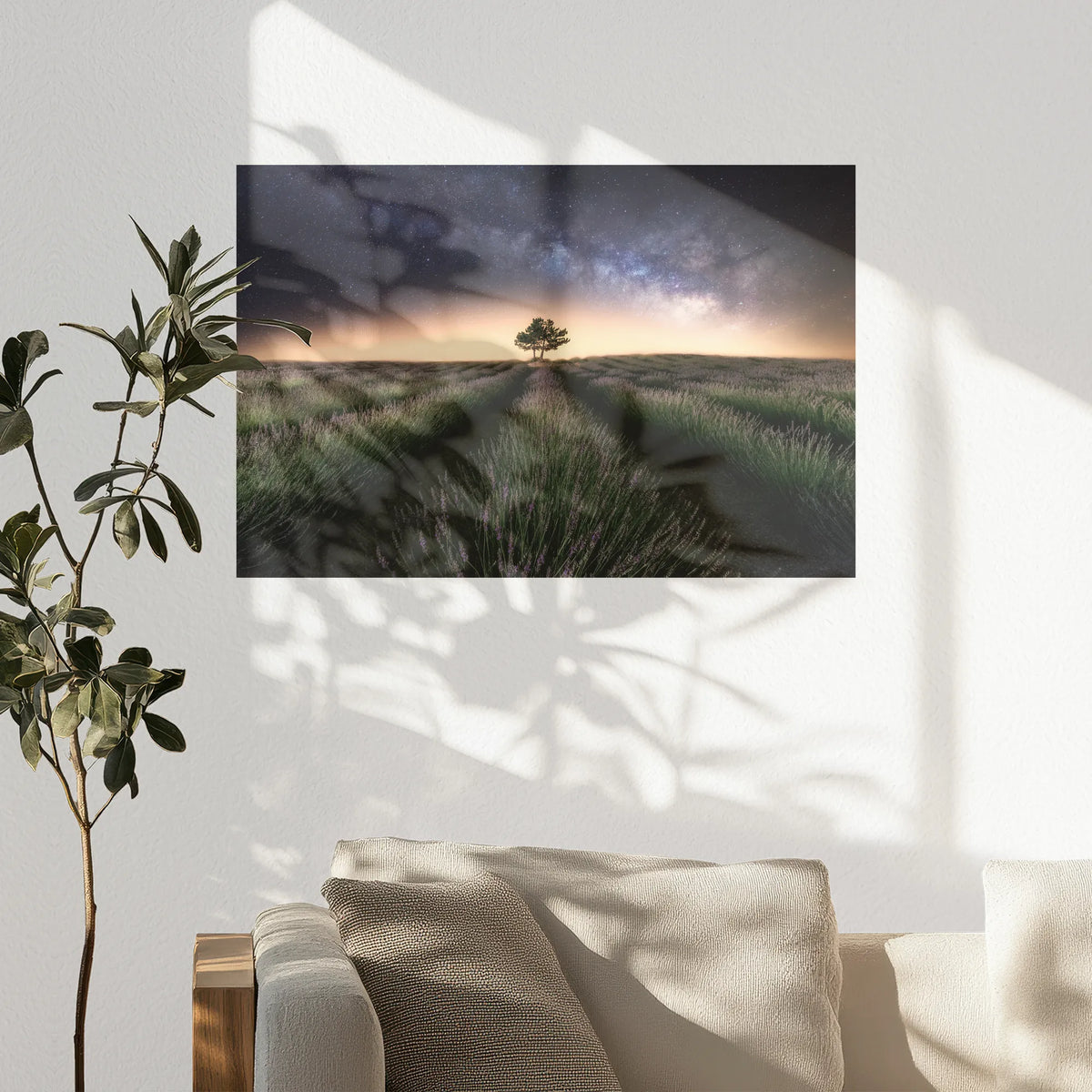 PO-075W050
