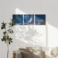 AL-120S040