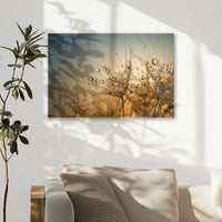 AC-030W020