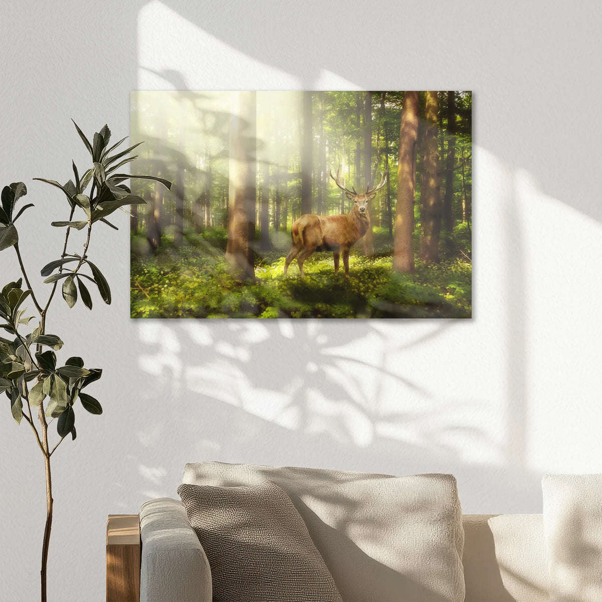 AC-075W050