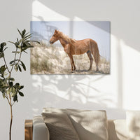 AL-090W060