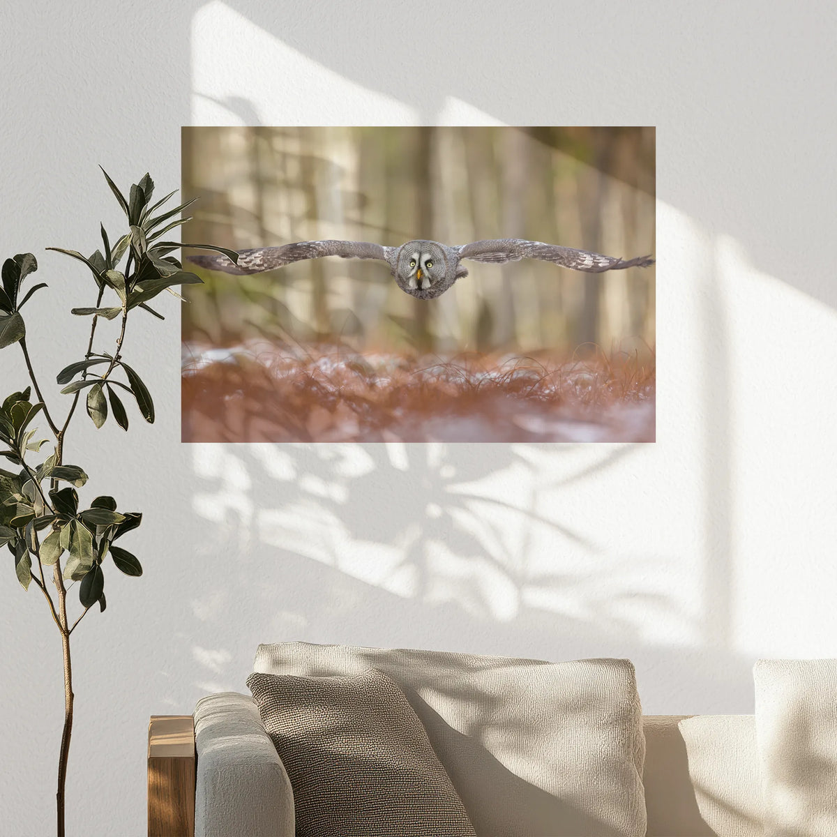 PO-075W050