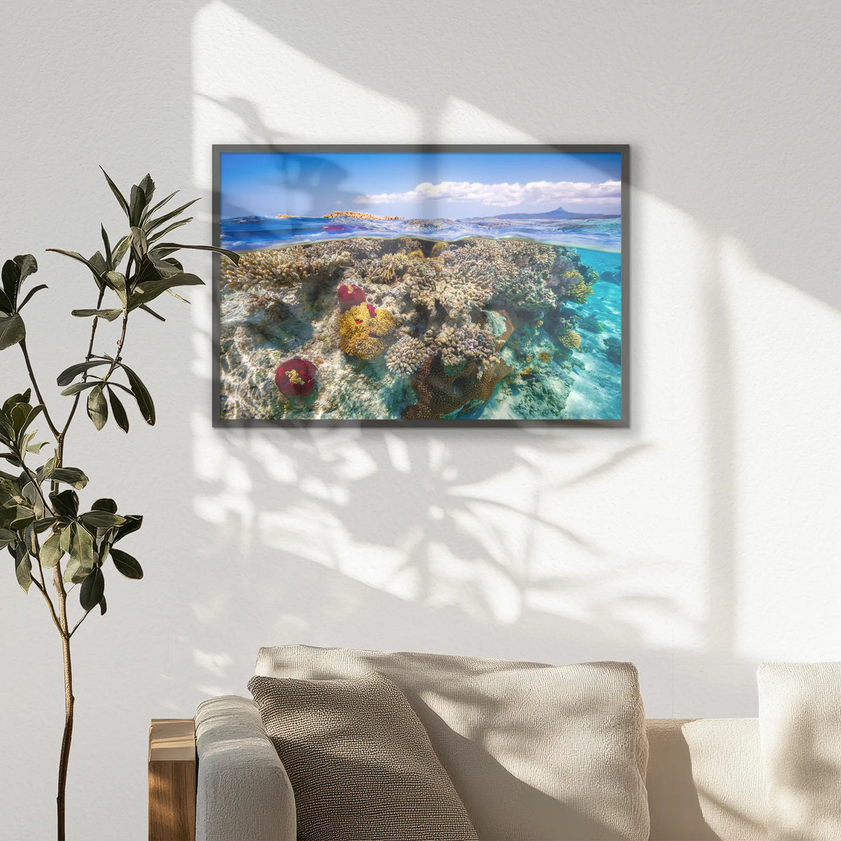 PK-093W062