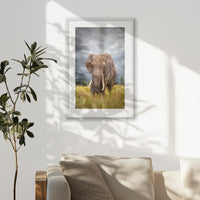 PWP062W093