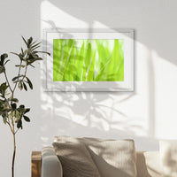 PWP060W040