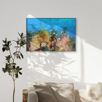 PB-120W080