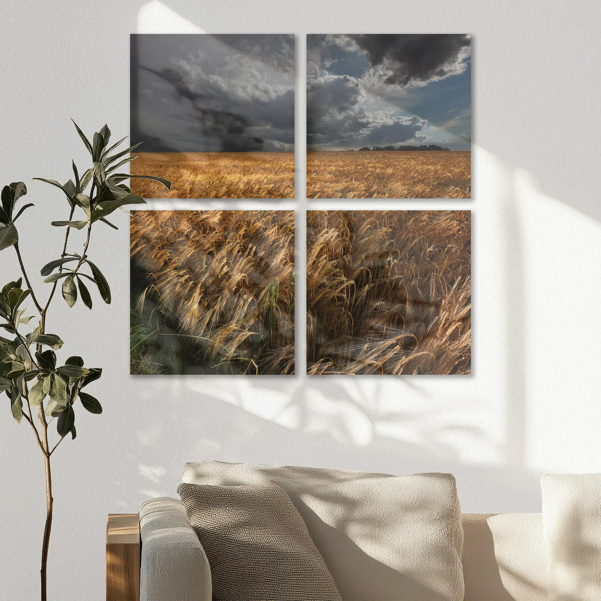 AC-080V080