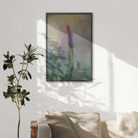 LWB070W100