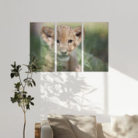 AC-180R120