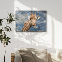 PK-093W062