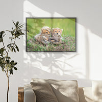 PK-093W062