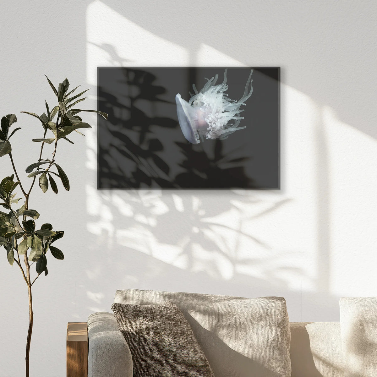 PB-093W062