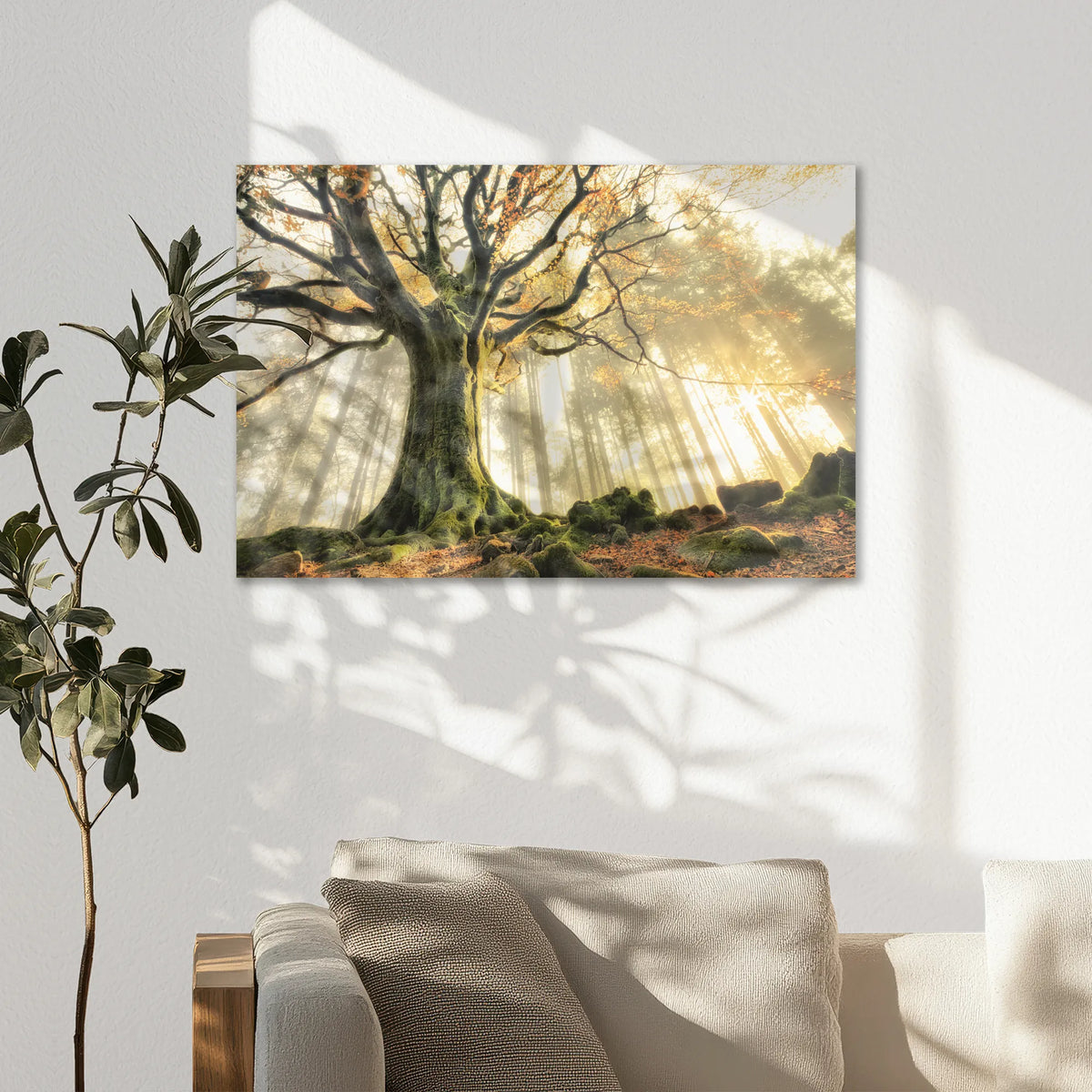 AL-075W050
