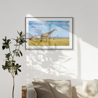 PBP120W080