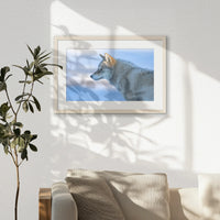 PNP060W040