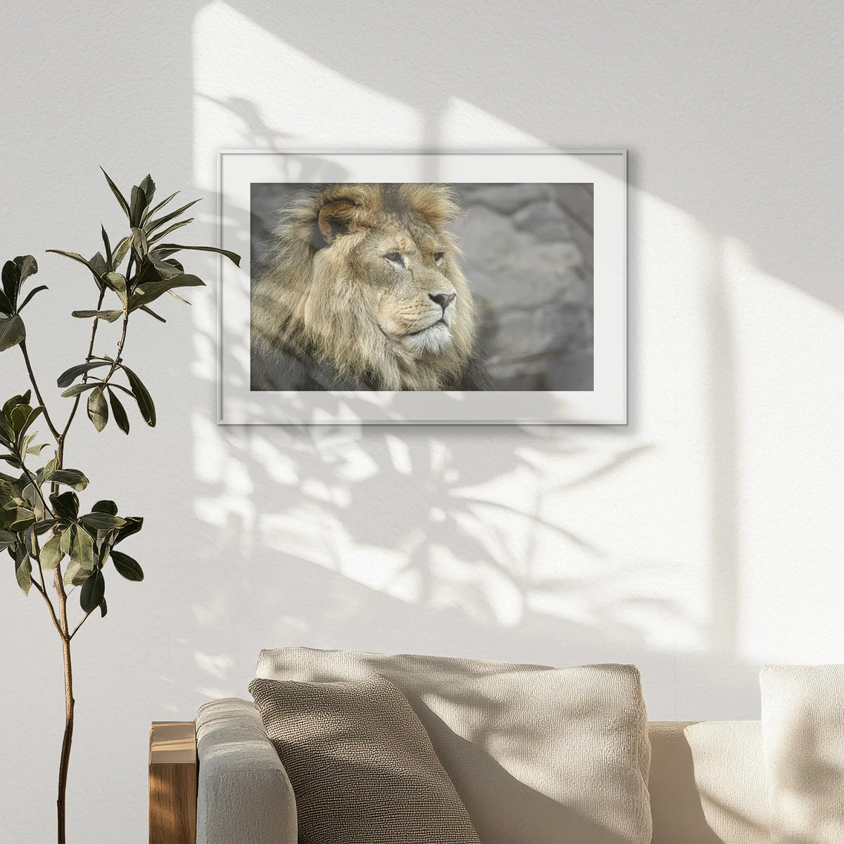 PSP093W062