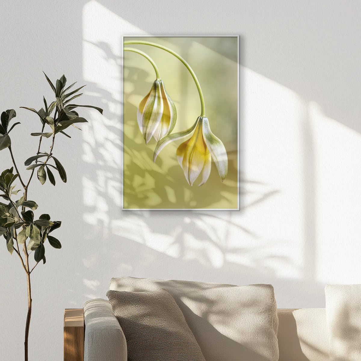 PS-062W093