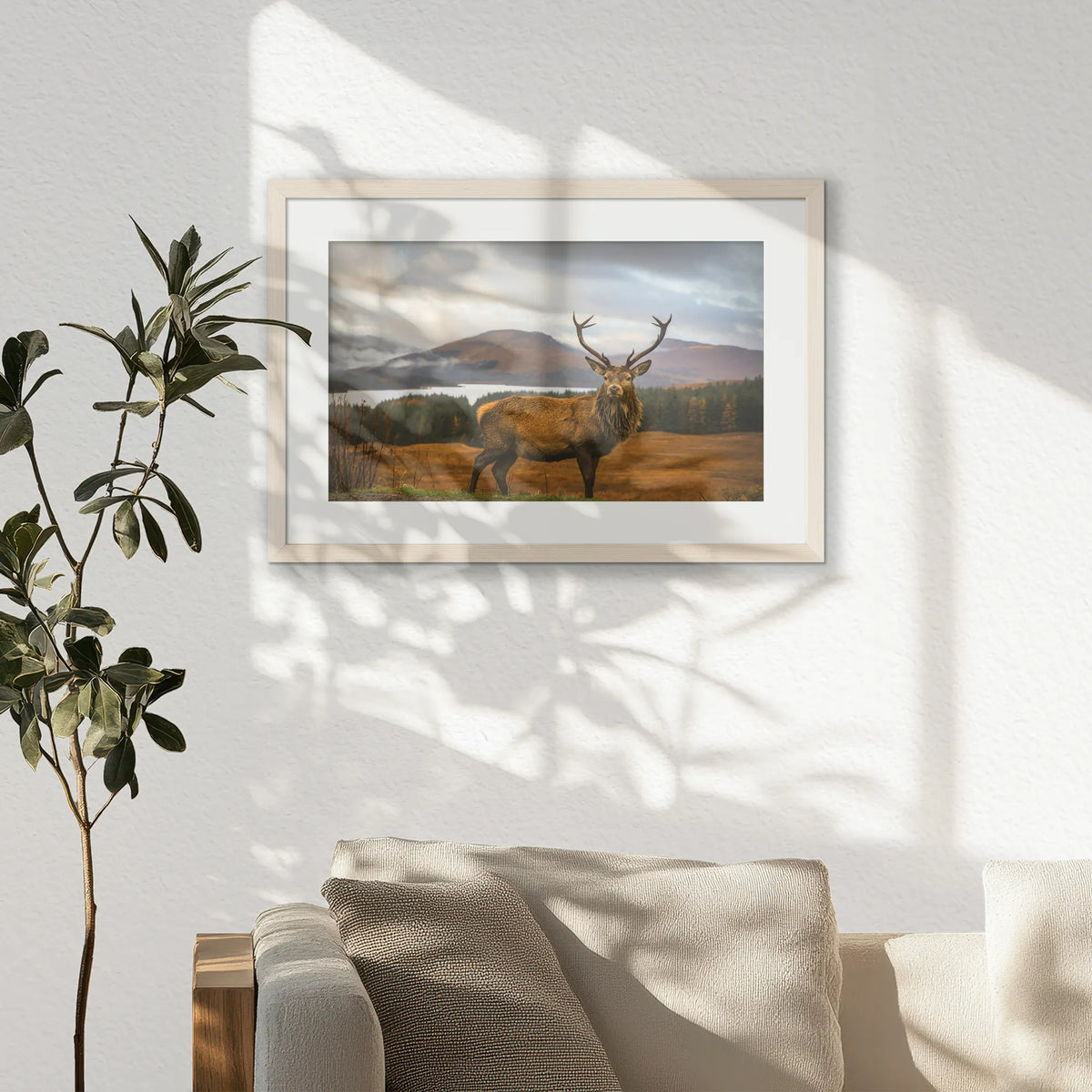PNP060W040