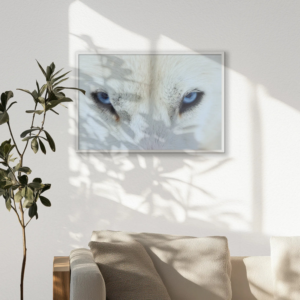 PW-093W062