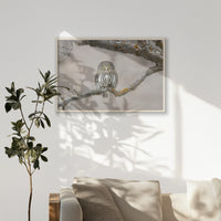 PN-100W070