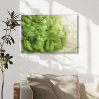 LW-030W020