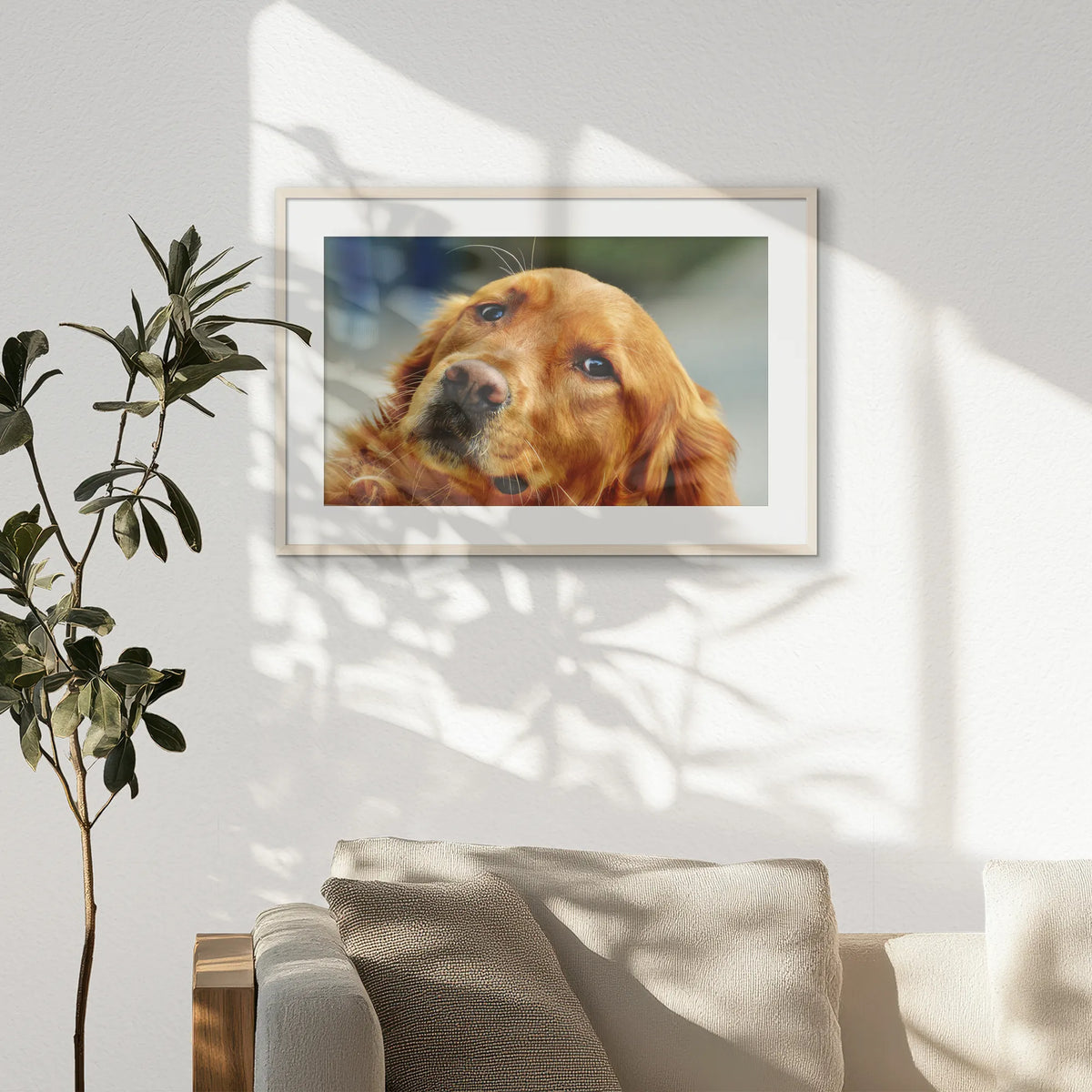 PNP093W062