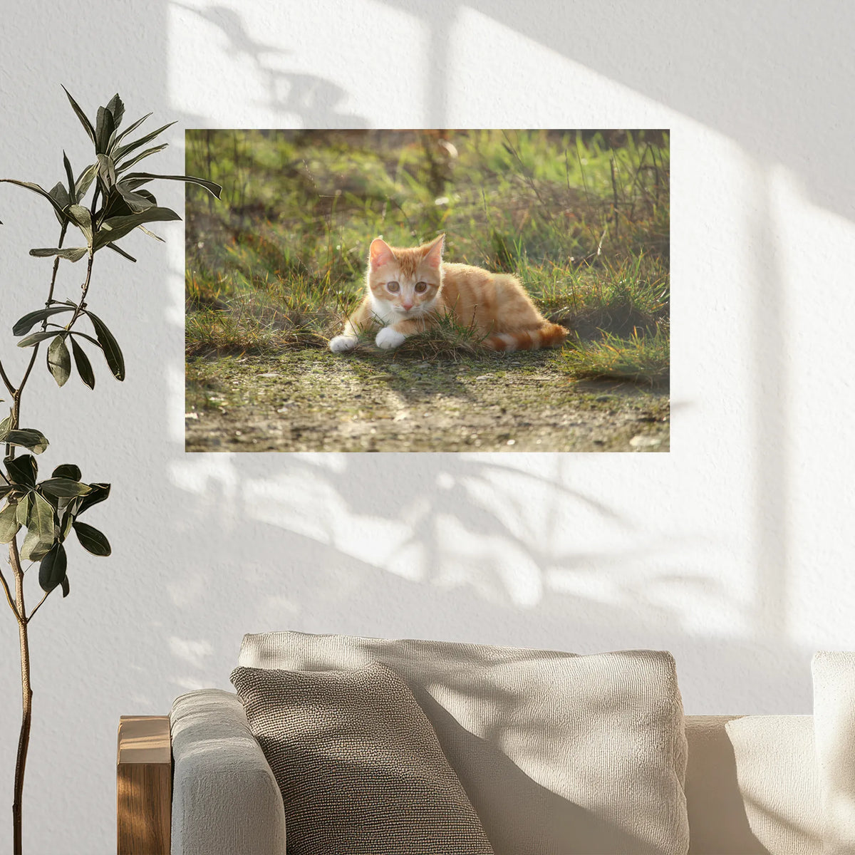 PO-045W030