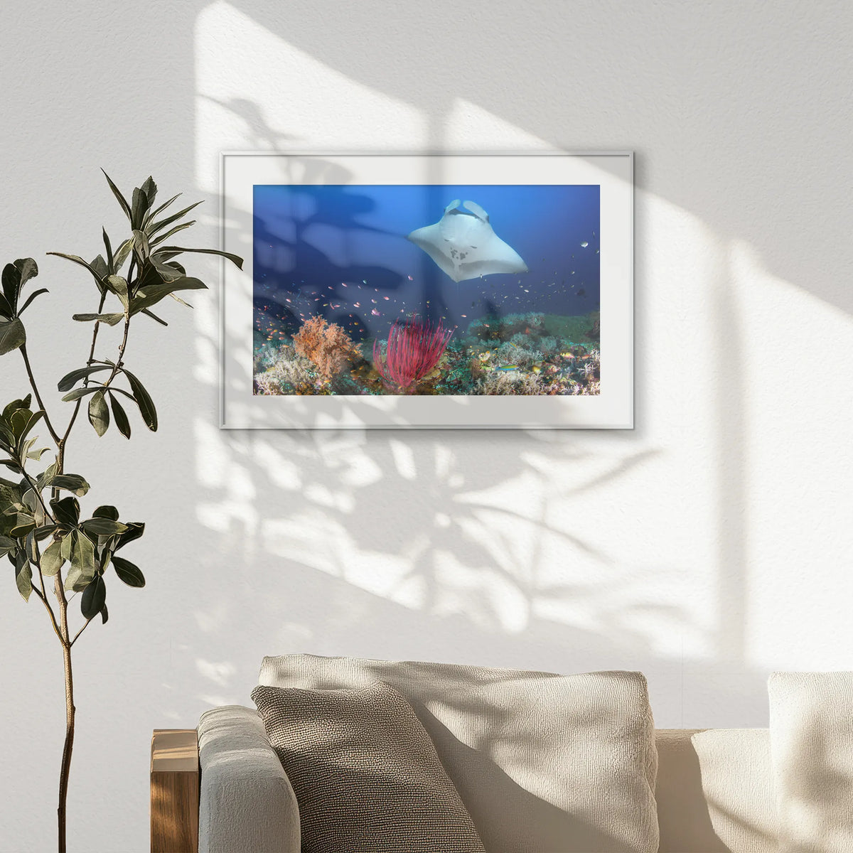 PSP093W062