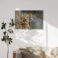PS-100W070